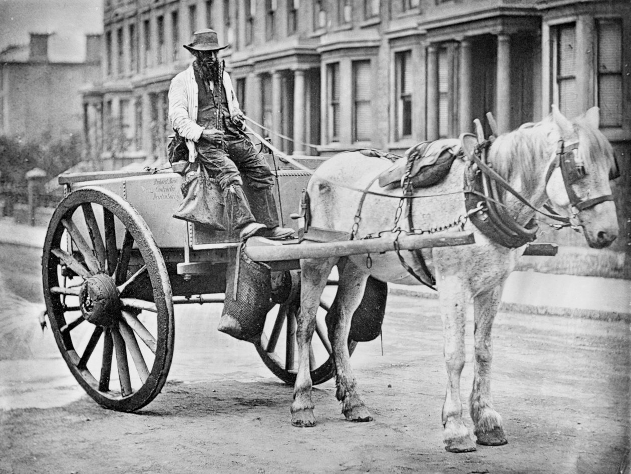 Il carro dell