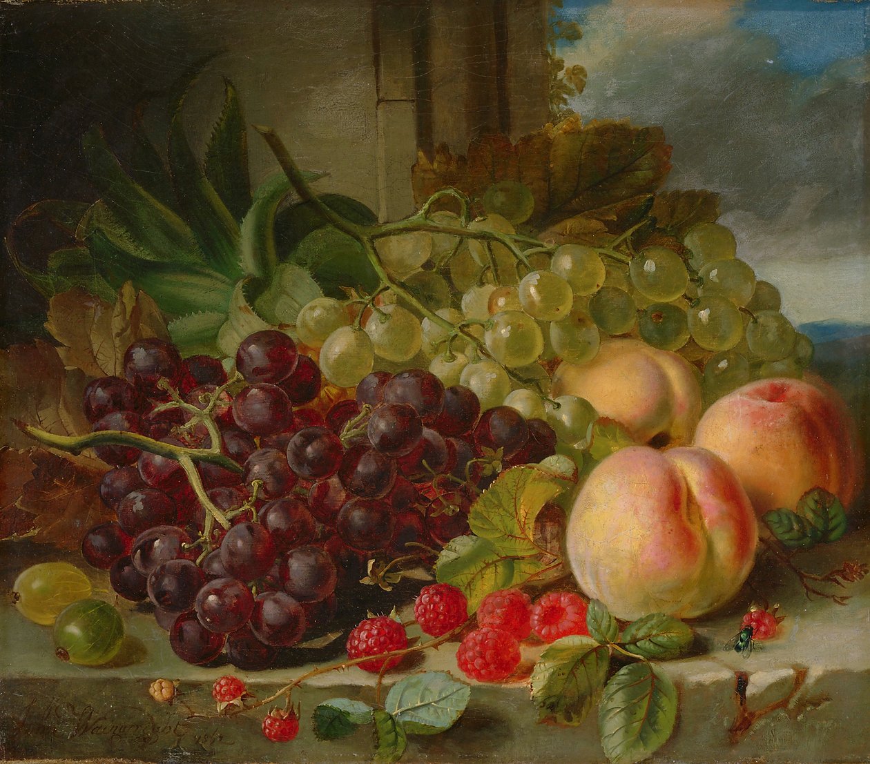 Natura Morta con Frutta, 1862 da John Wainwright