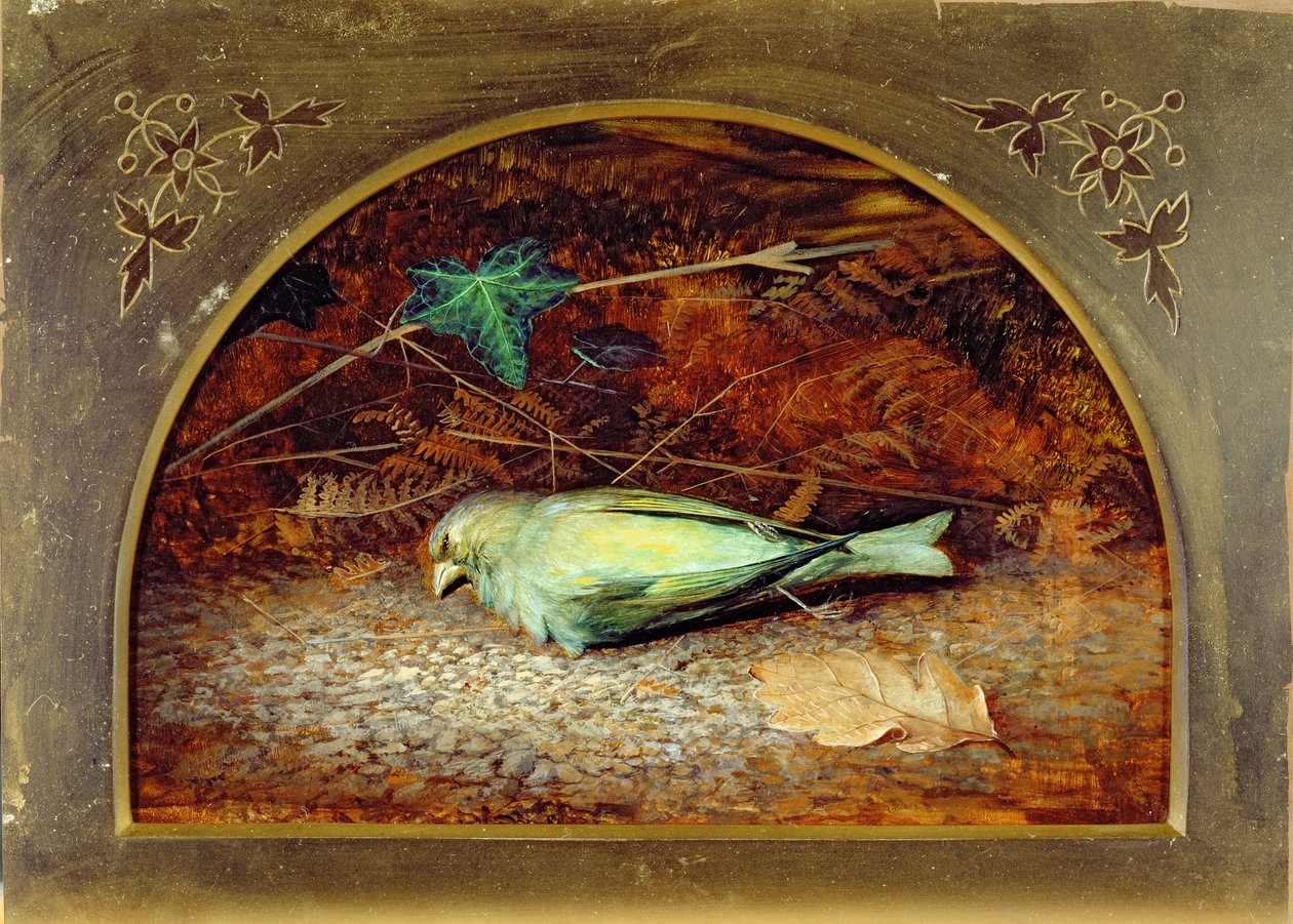 Un Cardellino Morto da John Atkinson Grimshaw