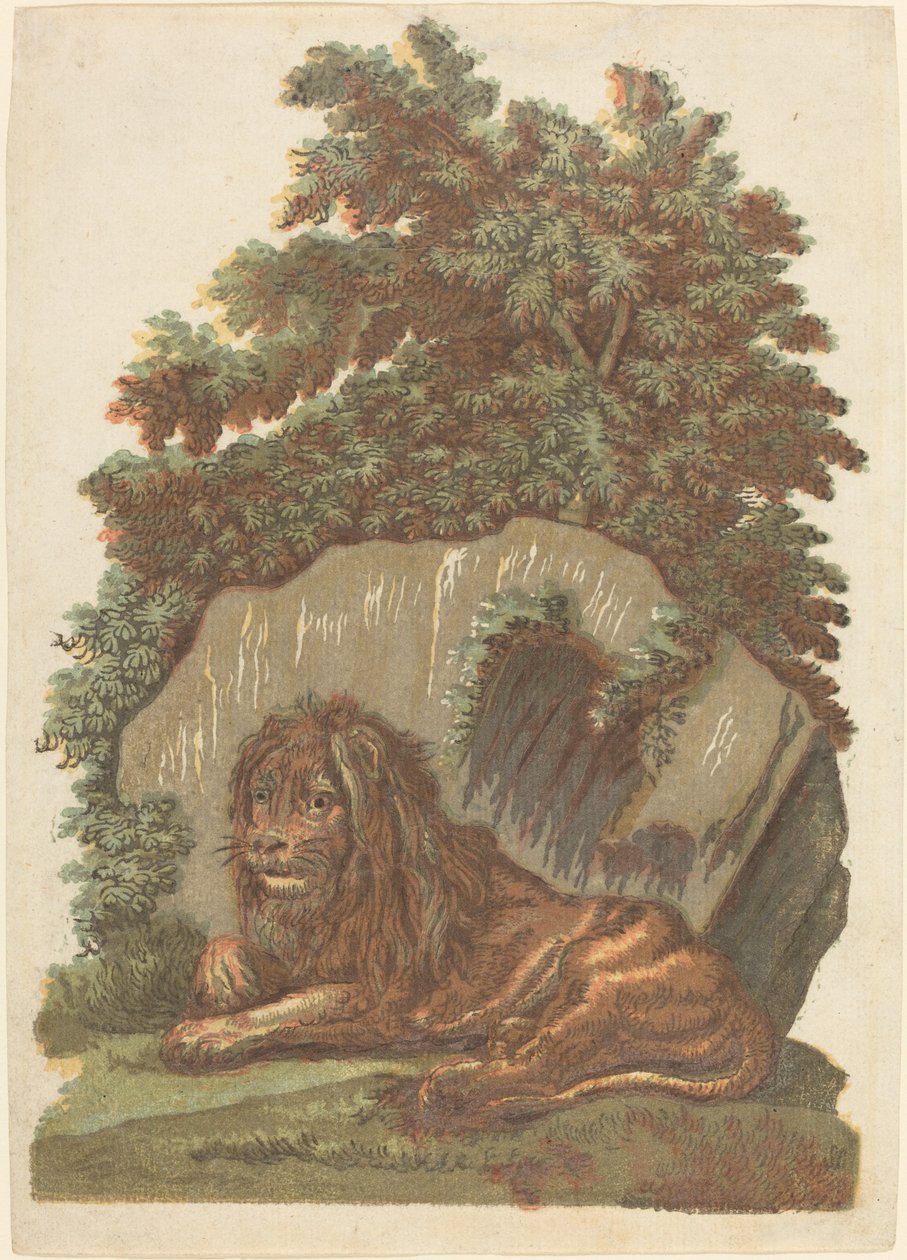 Il leone da John Baptist Jackson