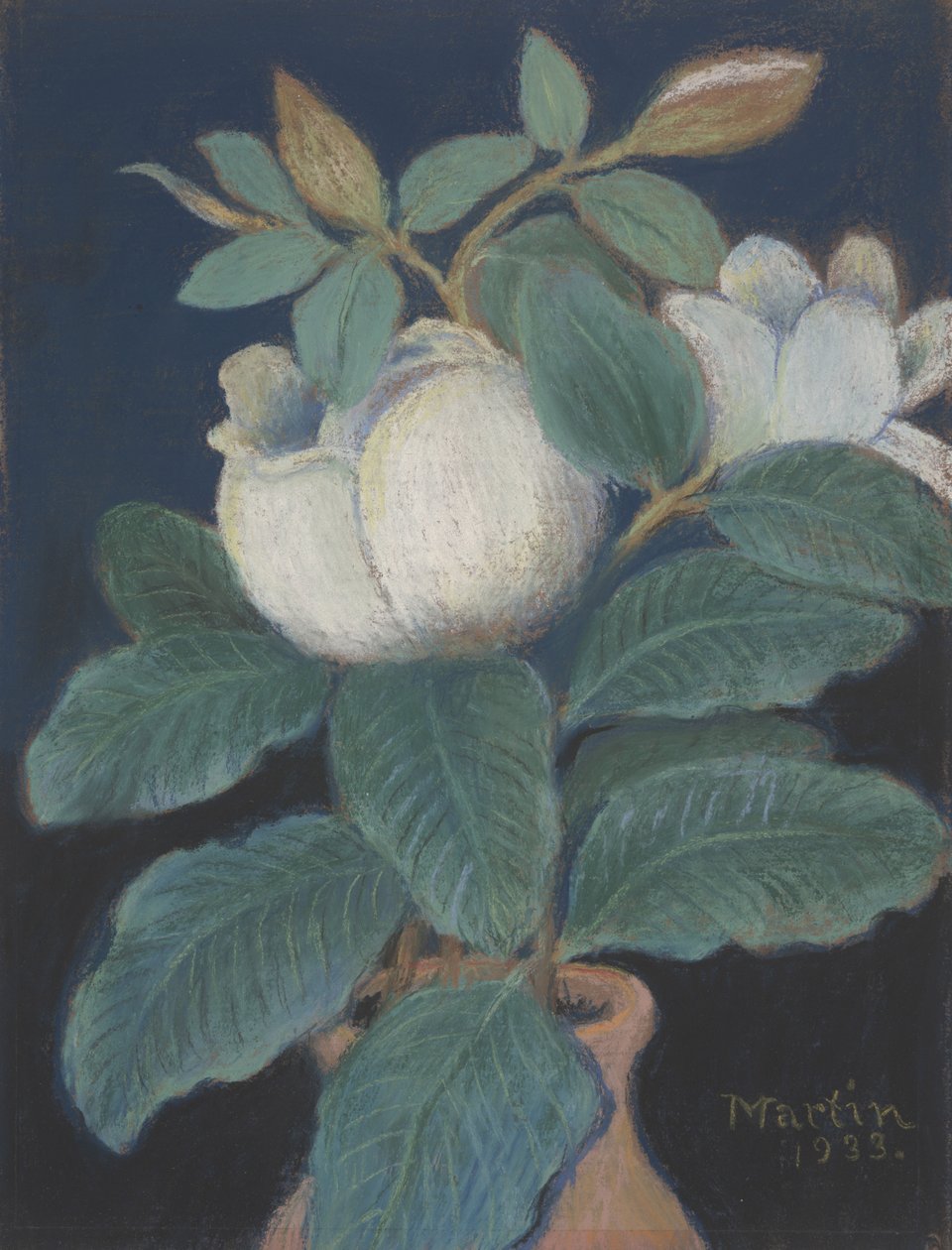 Fiori di Magnolia da John Breckinridge Martin