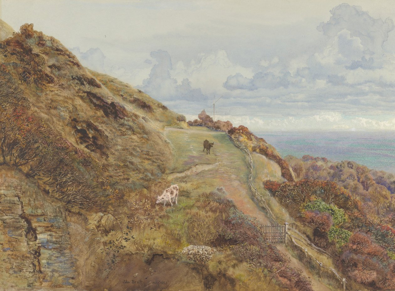 Bonchurch Downs da John Brett