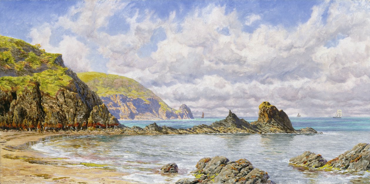 Baia della Foresta, Baia di Cardigan da John Brett