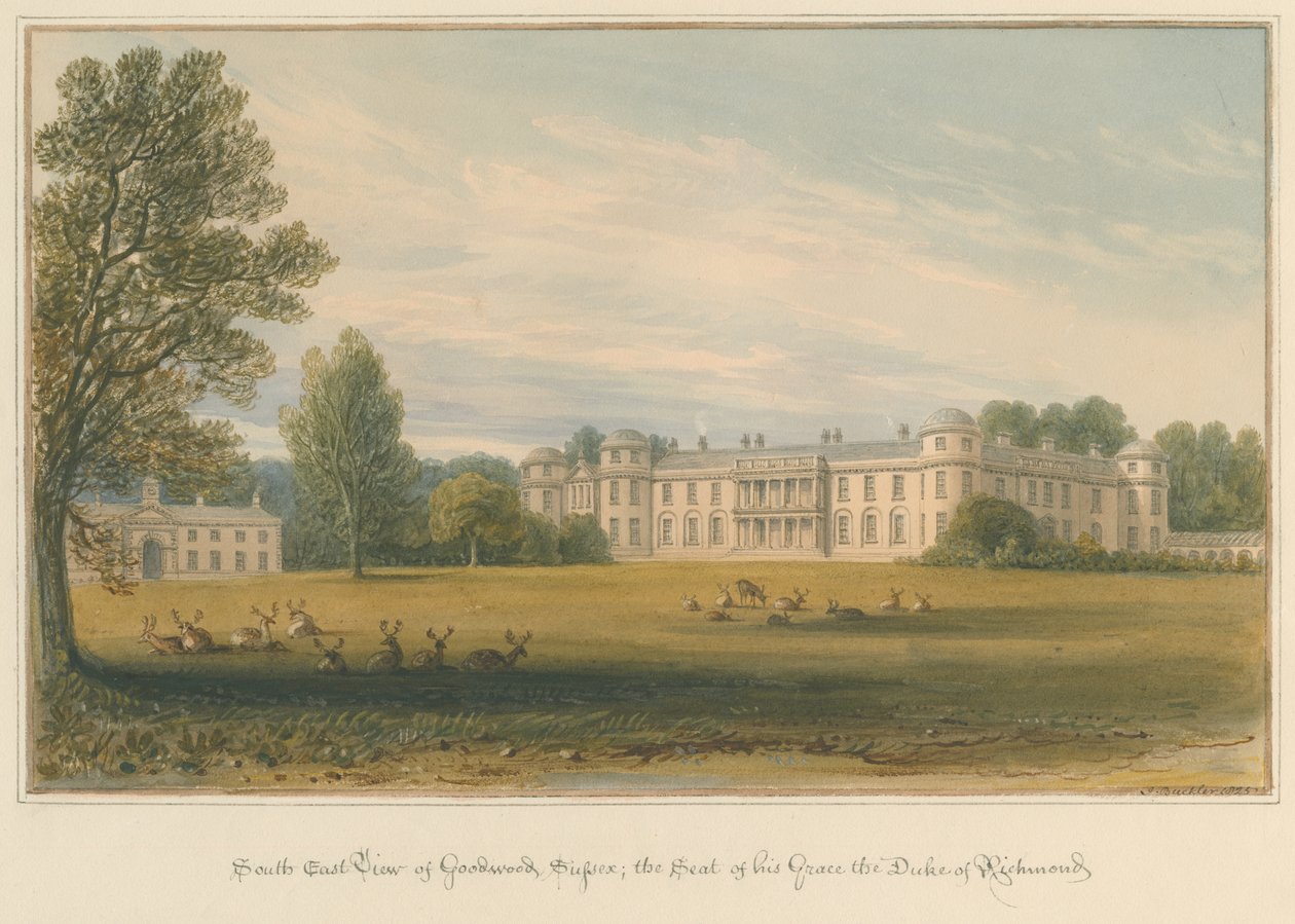 Sussex - Goodwood, 1825 da John Buckler