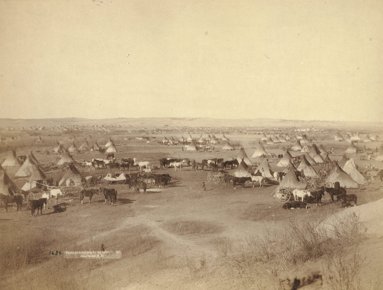 Campo indiano ostile, 1891 da John C. H. Grabill