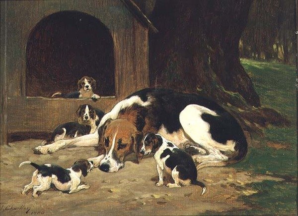 Una cagna di foxhound con la sua cucciolata da John Charlton