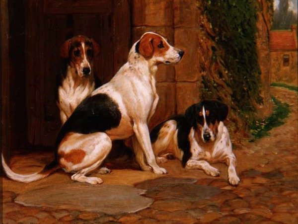 Segugi da John Charlton