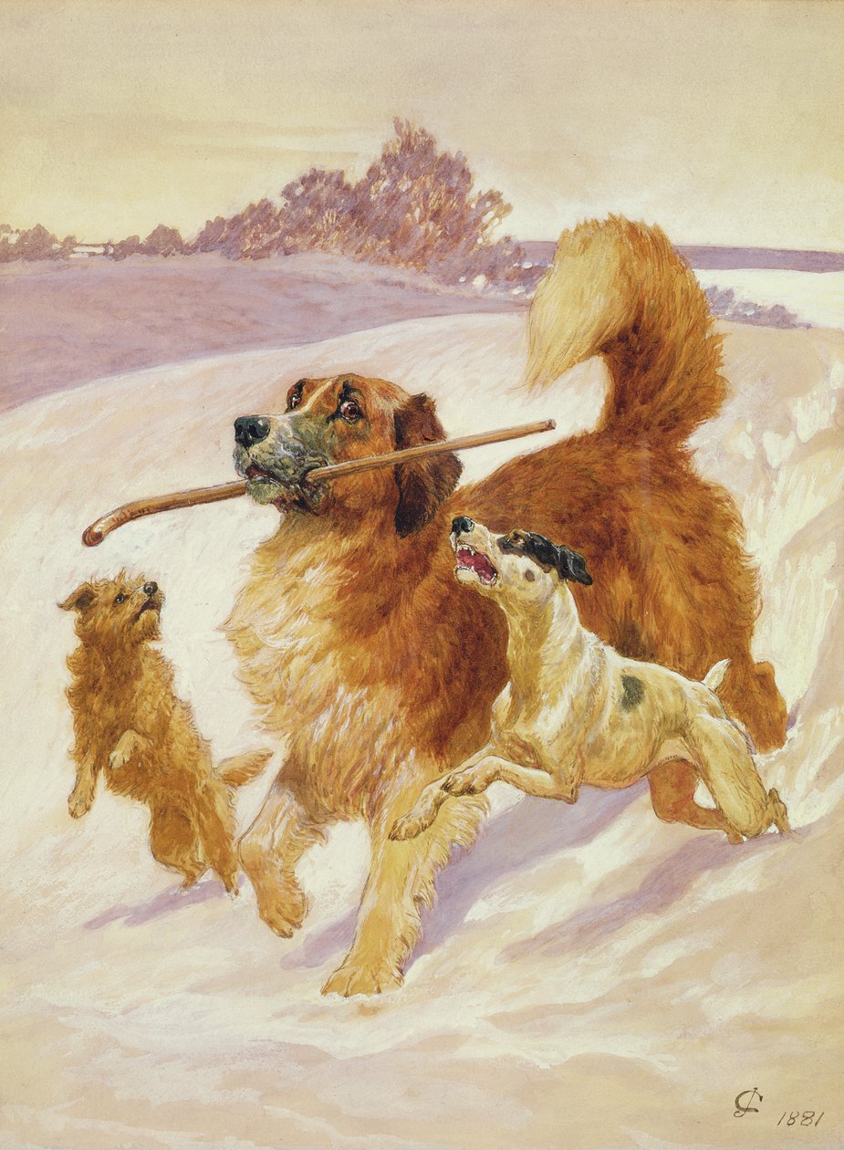 Tre cani che giocano nella neve, 1881 da John Charlton
