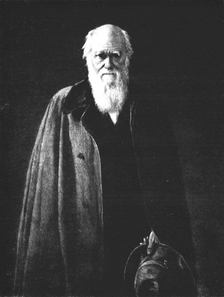 Charles Darwin 1809-1882, 1883, 1912 da John Collier