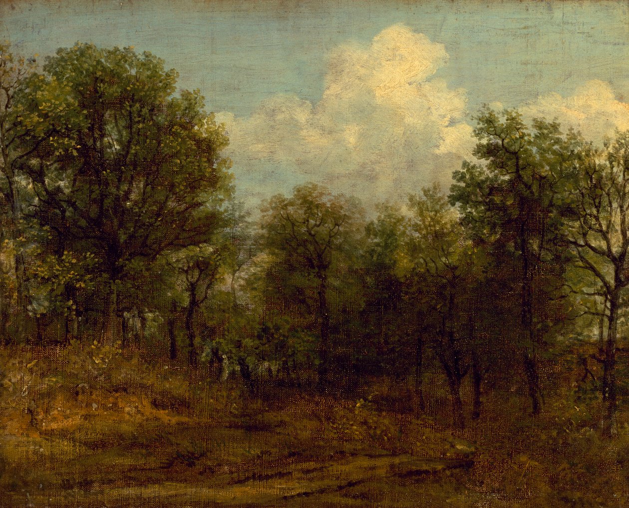 Un bosco (pittura a olio) da John Constable