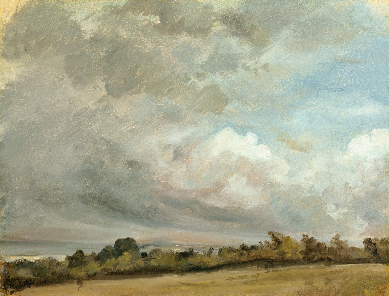 Studio delle nuvole da John Constable