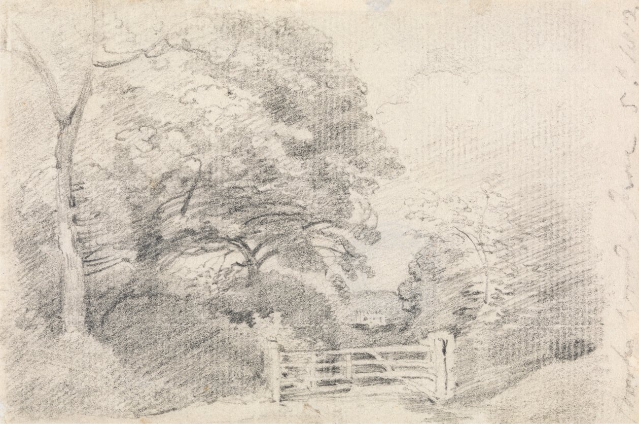 Coombe Wood da John Constable