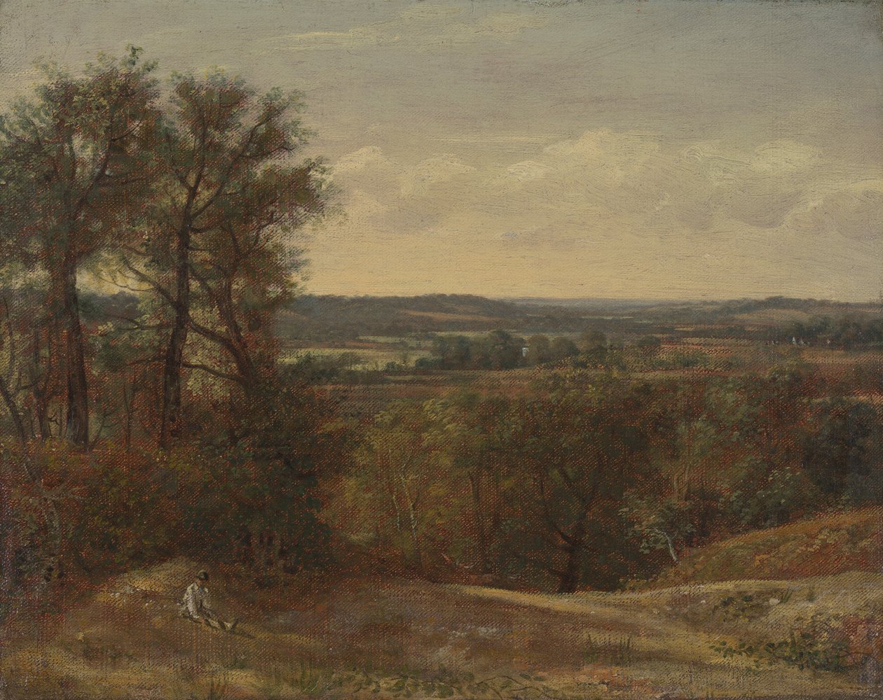 Valle di Dedham da John Constable
