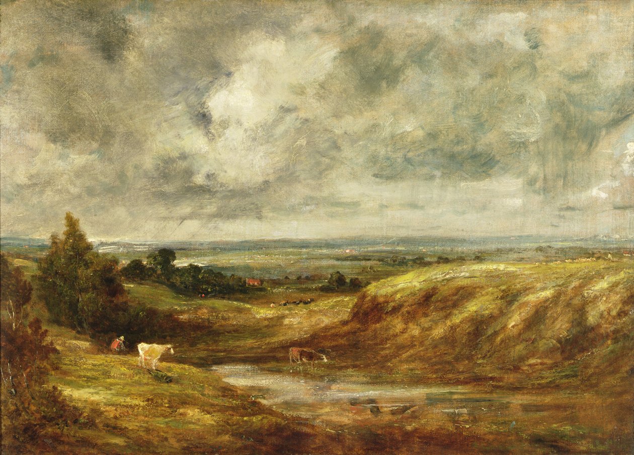 Hampstead Heath, c.1825-30 da John Constable