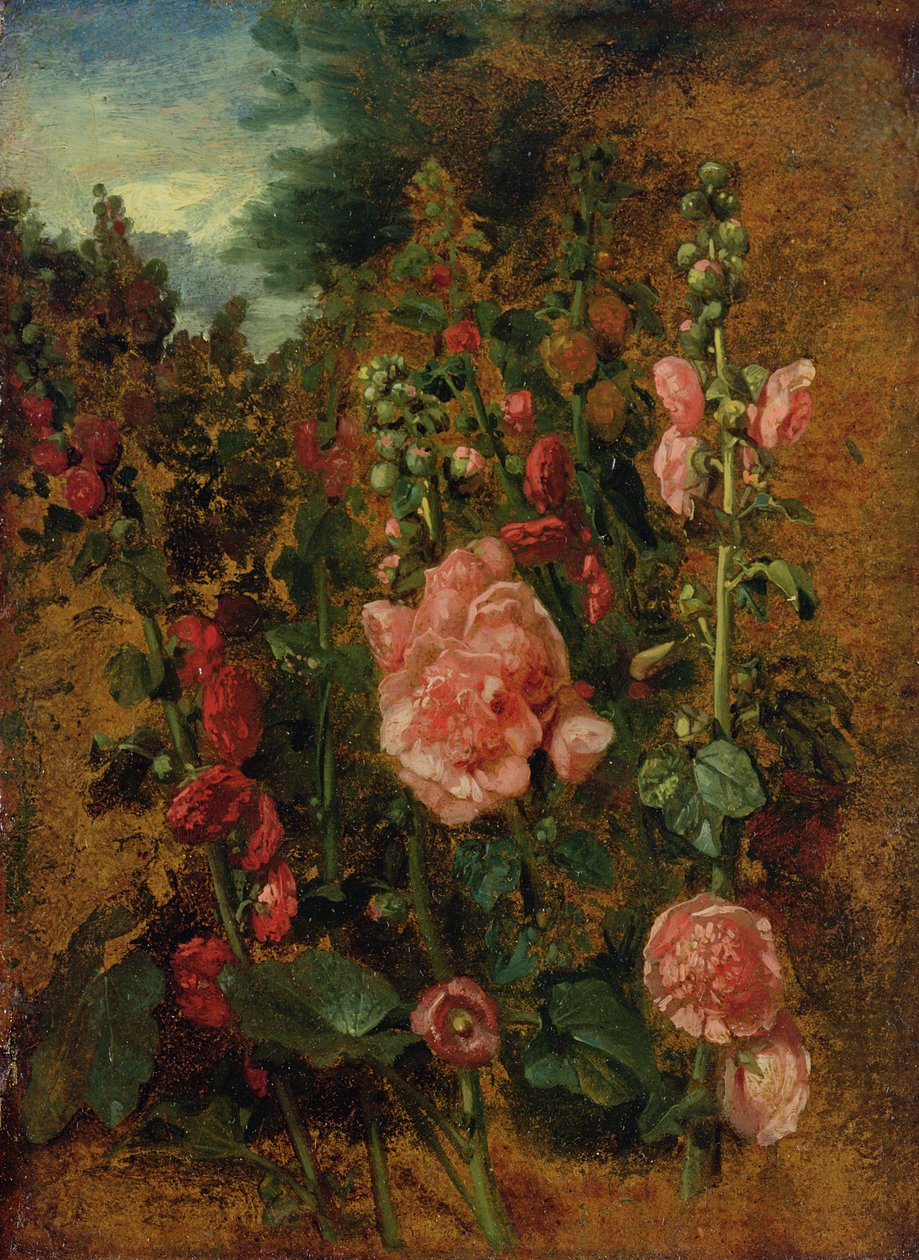 Studio di malvarosa, c.1826 da John Constable
