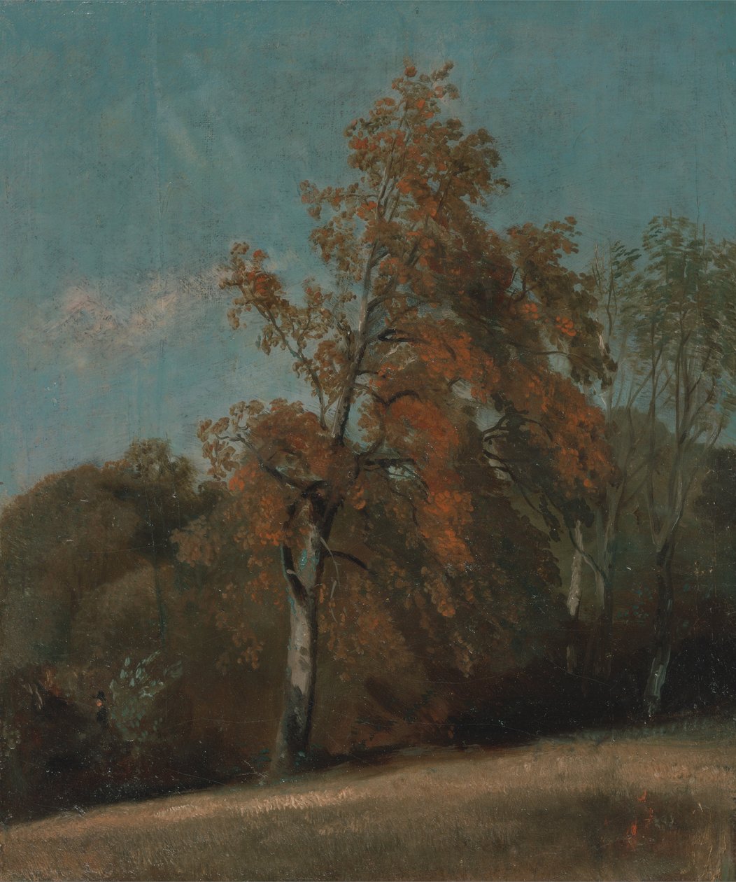 Studio di un frassino da John Constable