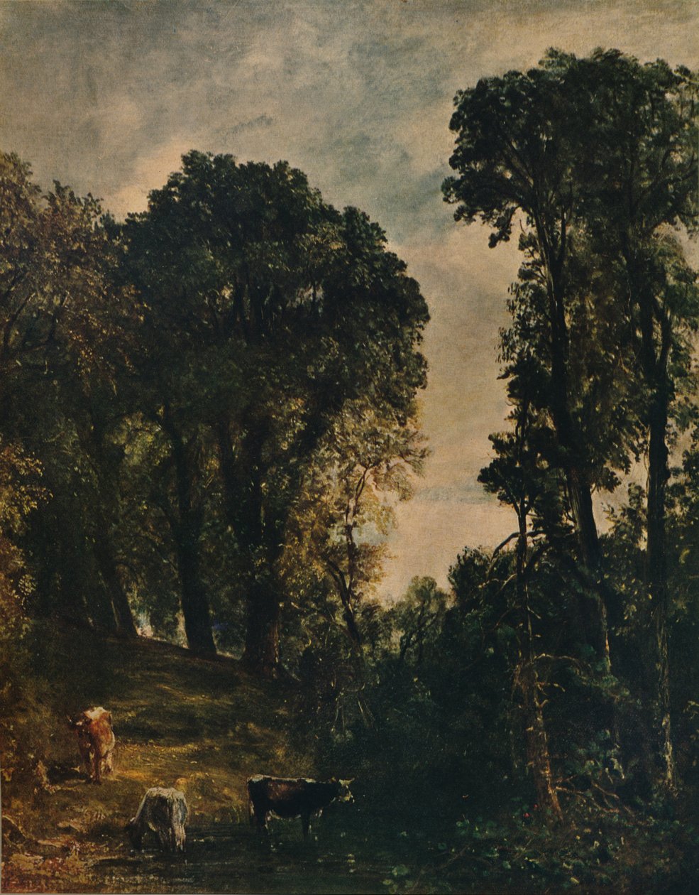 Alberi vicino alla chiesa di Hampstead, 1829, c1915 da John Constable