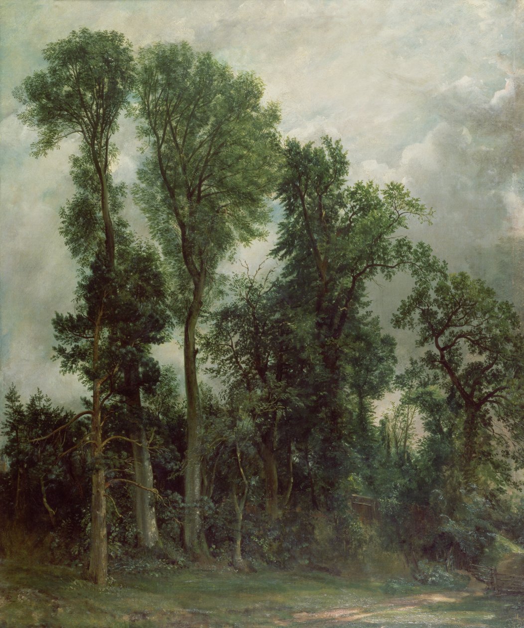 Alberi a Hampstead da John Constable