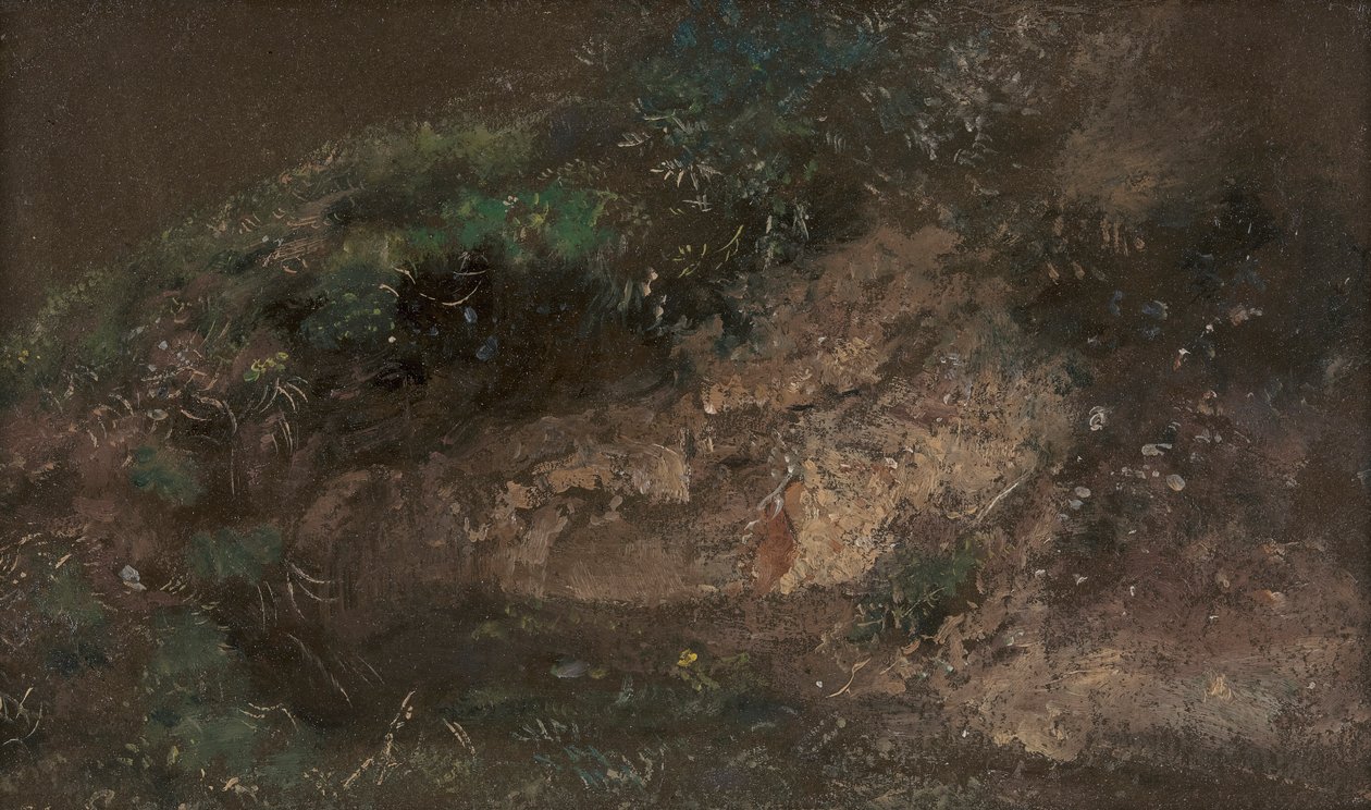Sottobosco da John Constable