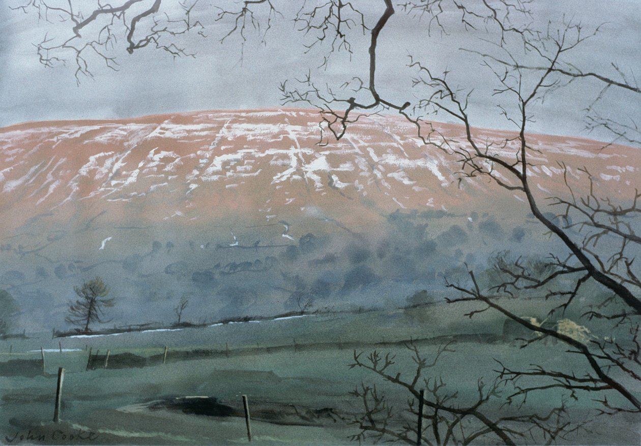 Rise Hill in dicembre, 1991 da John Cooke