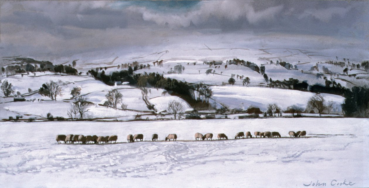 Alimentazione invernale da John Cooke