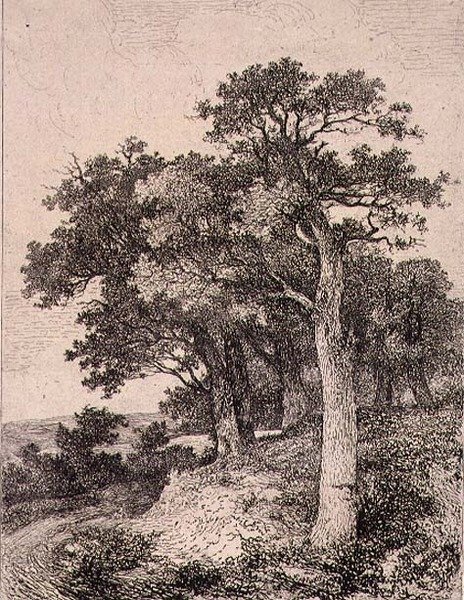 A Colney, pub. da J. & W. Freeman da John Crome