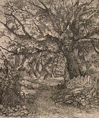 A Trowse, pub. da J. & W. Freeman da John Crome
