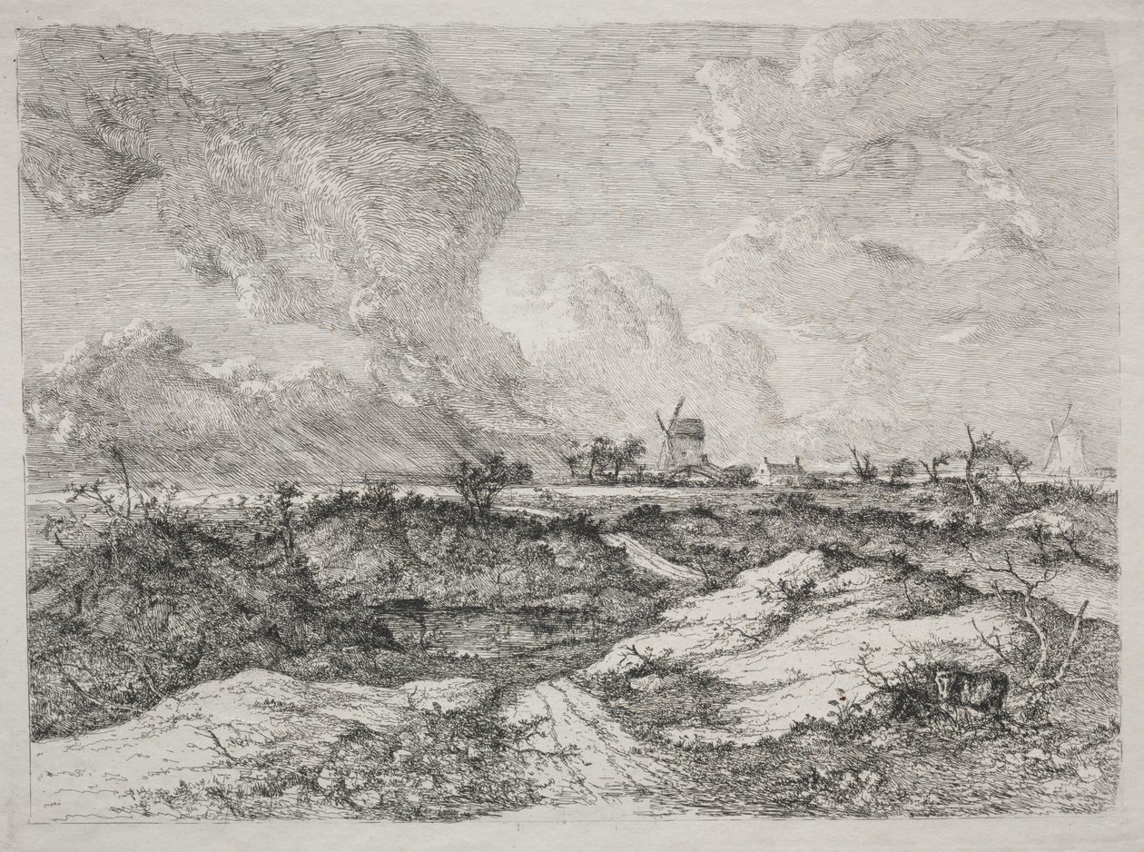Mousehold Heath da John Crome