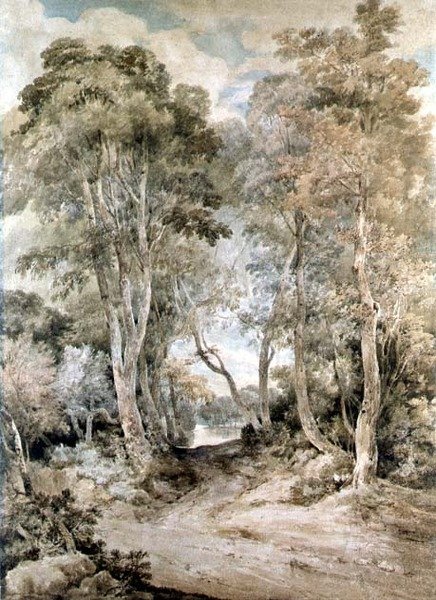 Scena nel bosco da John Crome