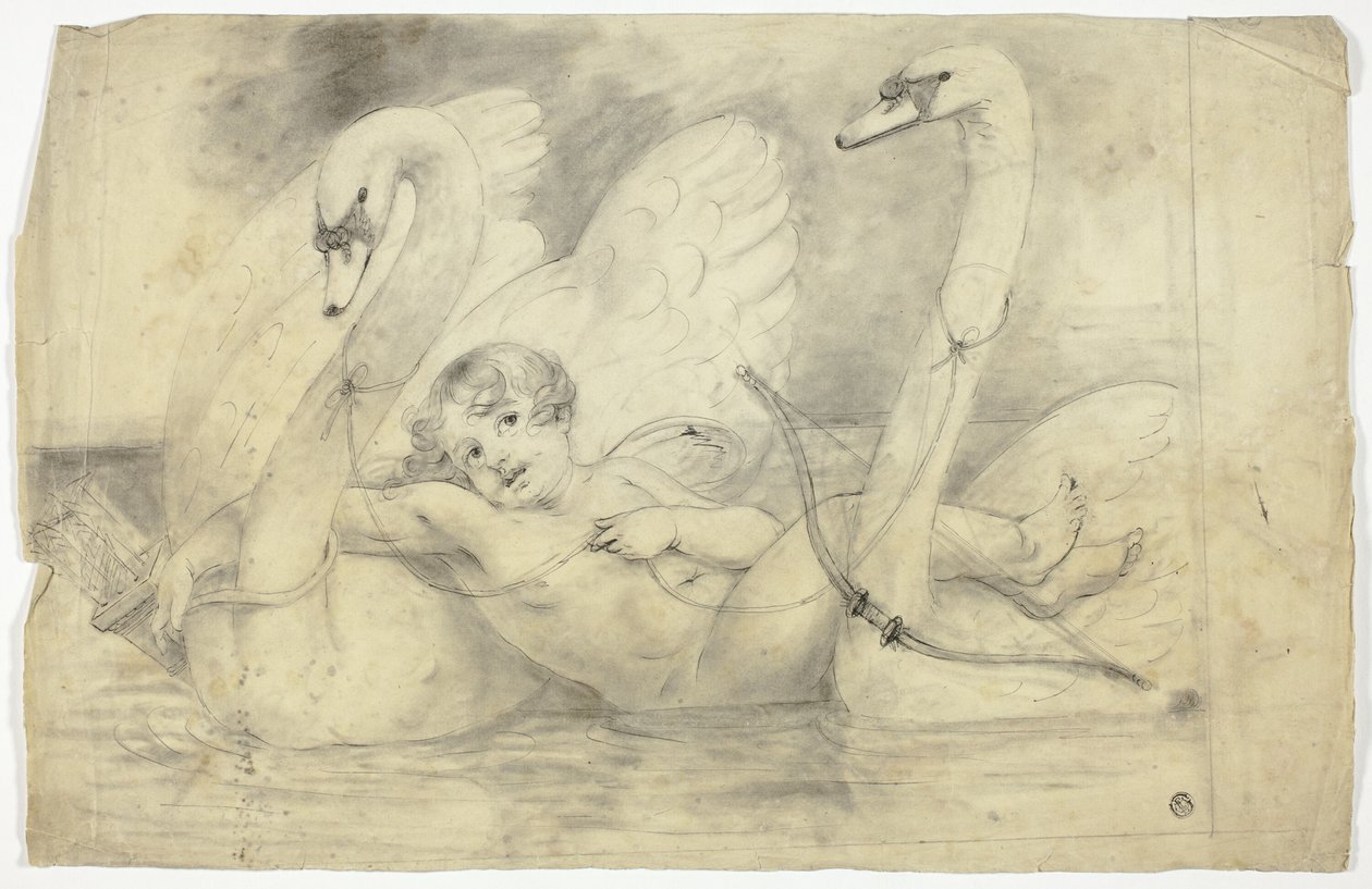 Cupido e i cigni da John Downman