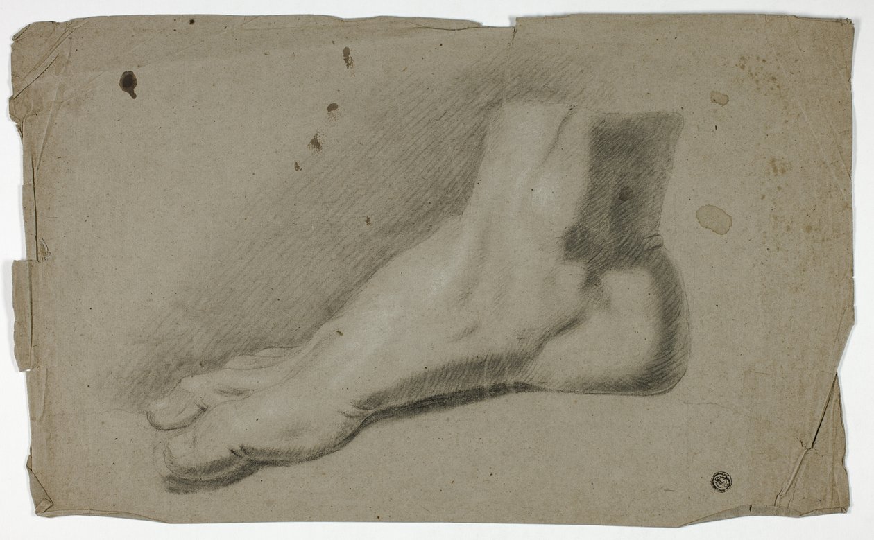 Piede destro da John Downman