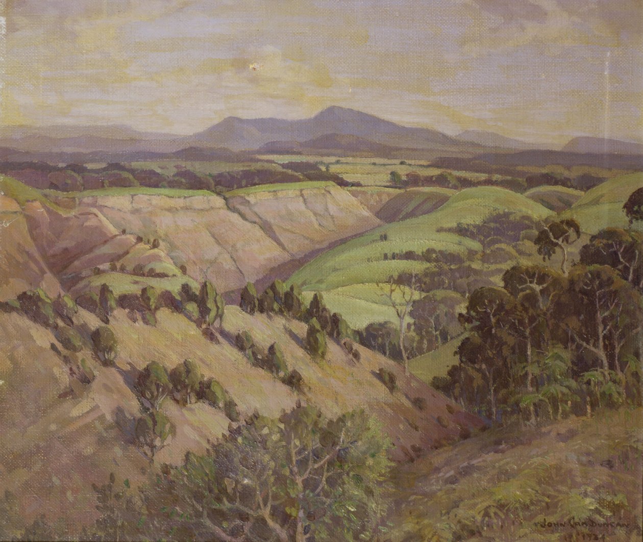 La valle di Mamaku da John Duncan