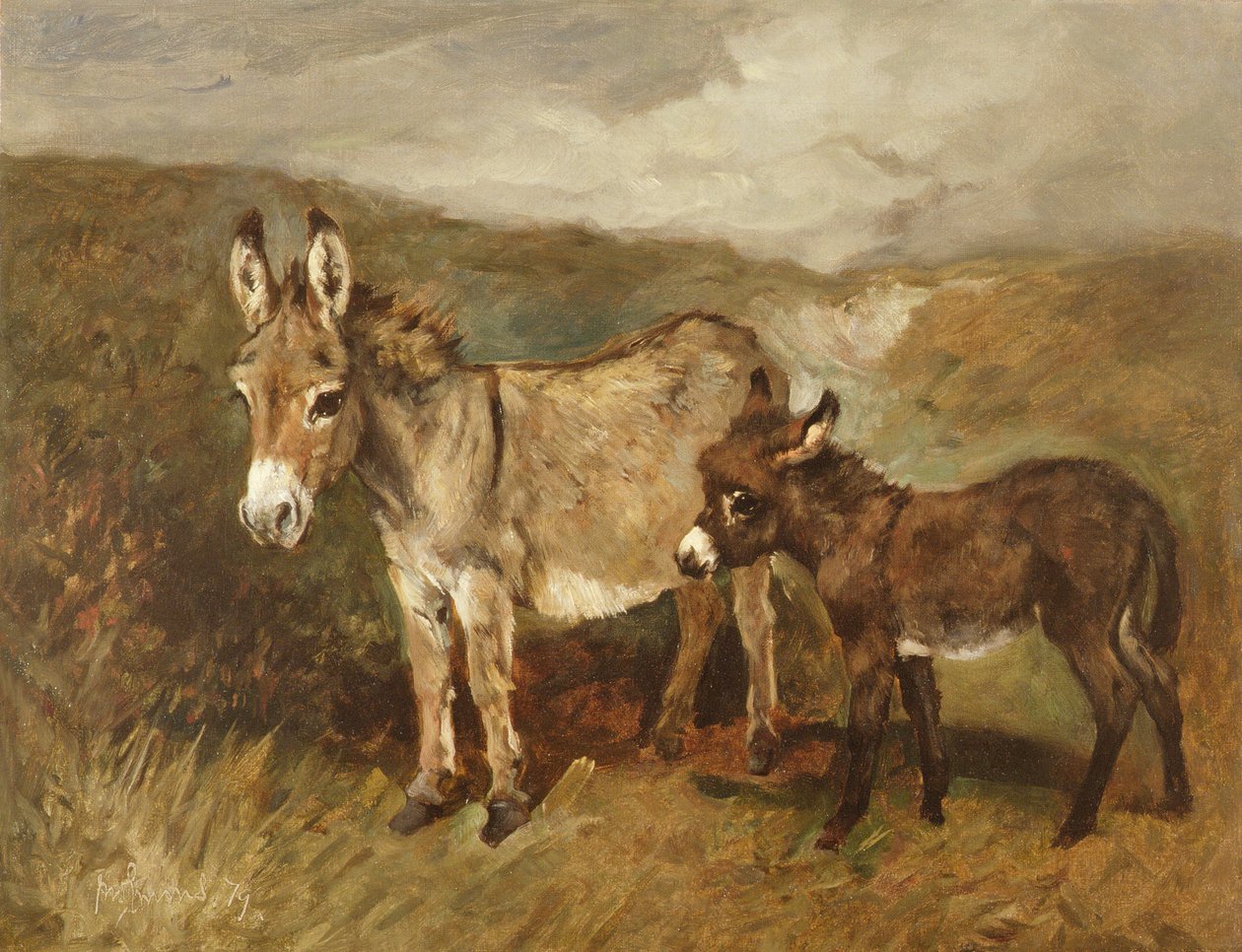 Asini sulla brughiera, c.1890 da John Emms
