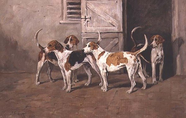 Quattro cani da caccia vicino a una porta della stalla da John Emms