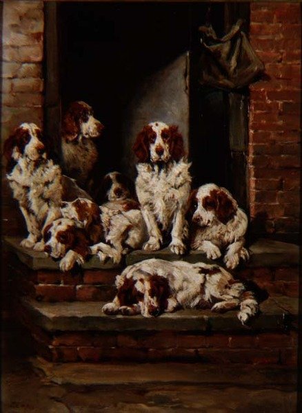 Spaniels in abbondanza da John Emms