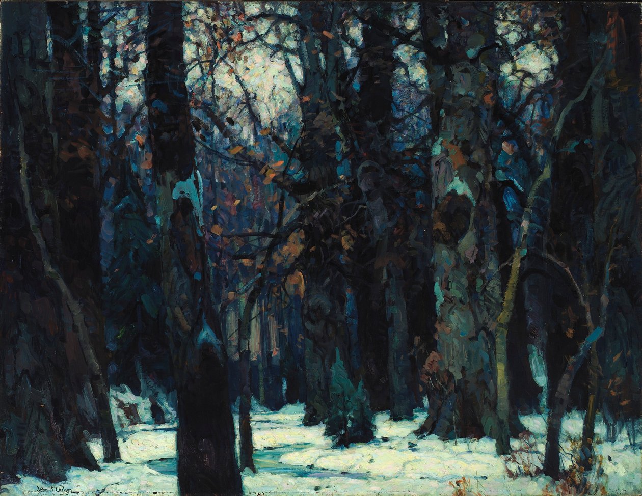 Silenzio cupo da John F. Carlson