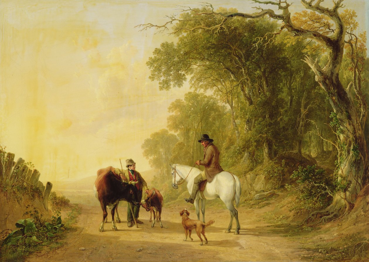 Il vecchio signore da John F. Tennant