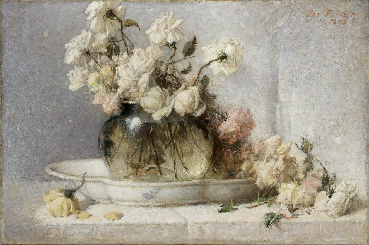 Rose, 1898 da John Ferguson Weir