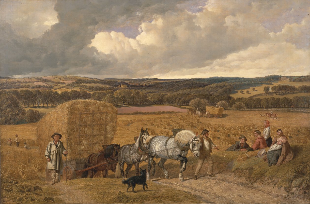 Il raccolto da John Frederick Herring