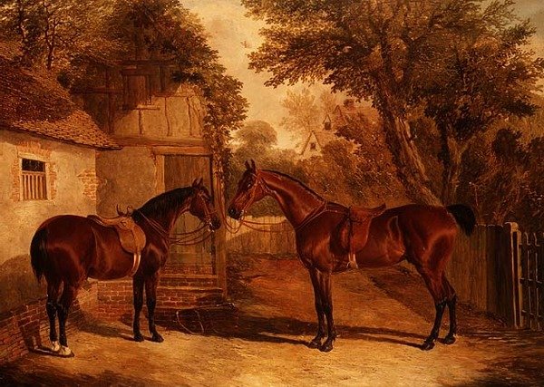 Cavalli da caccia davanti a una fattoria da John Frederick Herring Senior