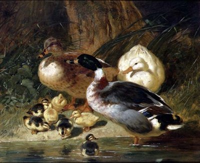Anatre e anatroccoli da John Frederick Herring Senior