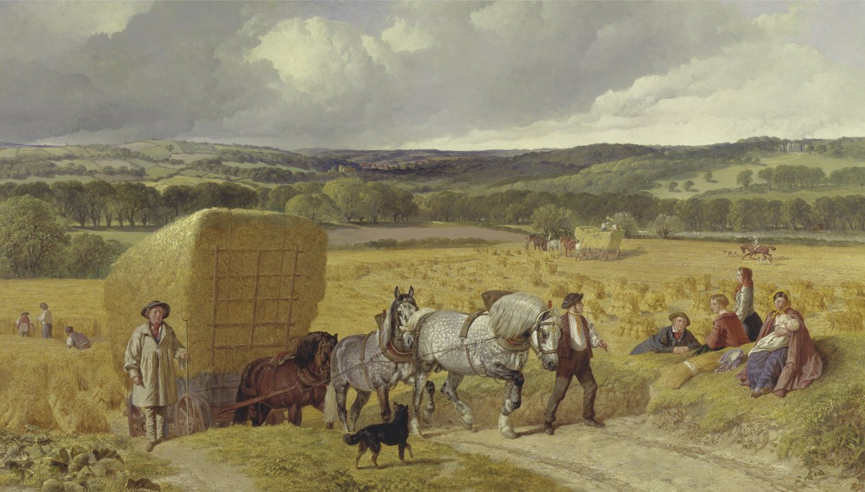 Raccolto da John Frederick Herring Senior