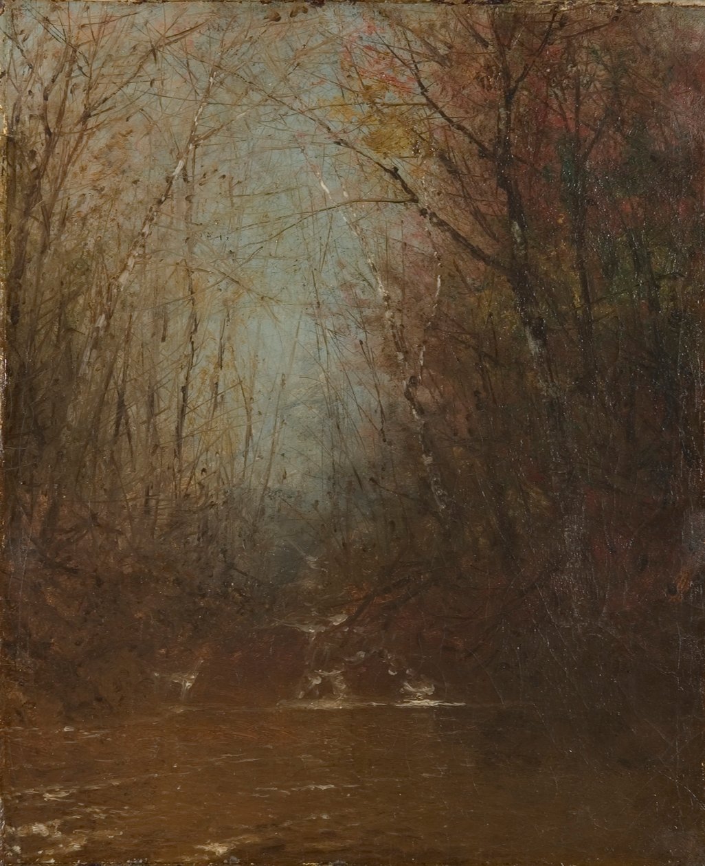Interno della foresta con ruscello da John Frederick Kensett