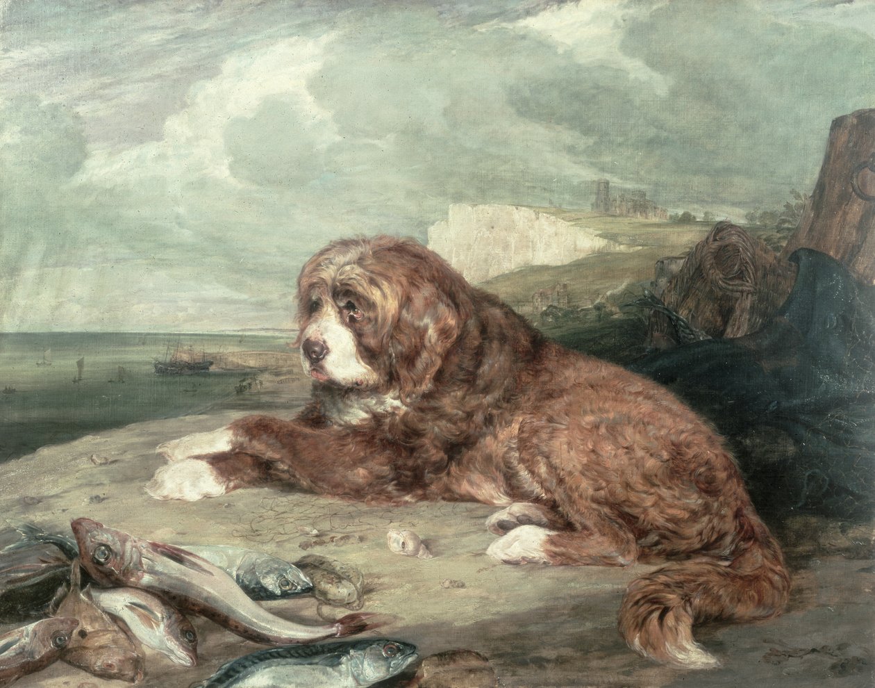 Un Vecchio Cane di Terranova da John Frederick Lewis