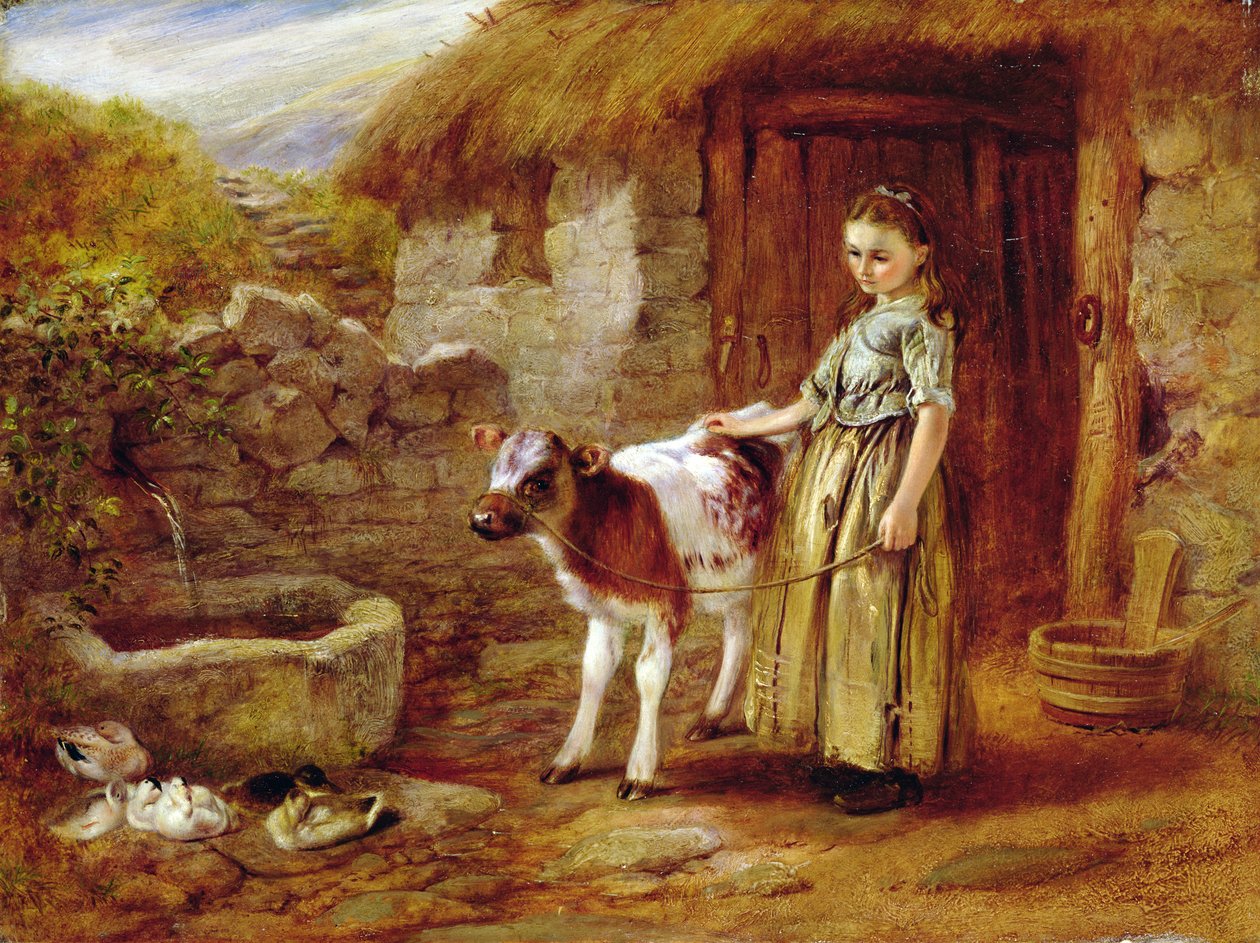 La carica di Maggie da John H. Dell