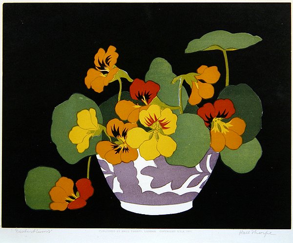 Nasturzi da John Hall Thorpe