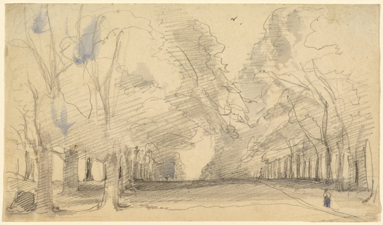 Viale degli alberi da John Hayter