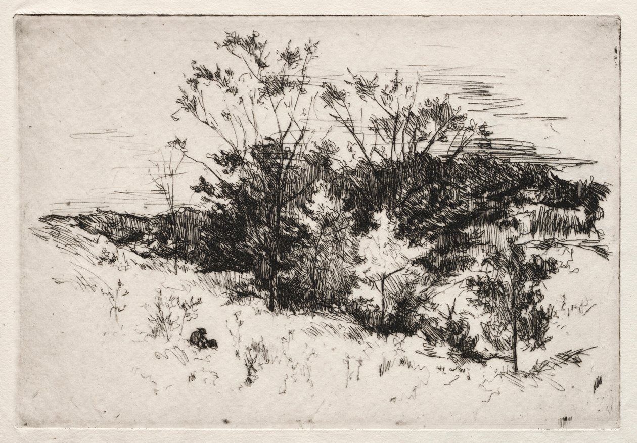 Paesaggio autunnale, 1879-80 da John Henry Twachtman