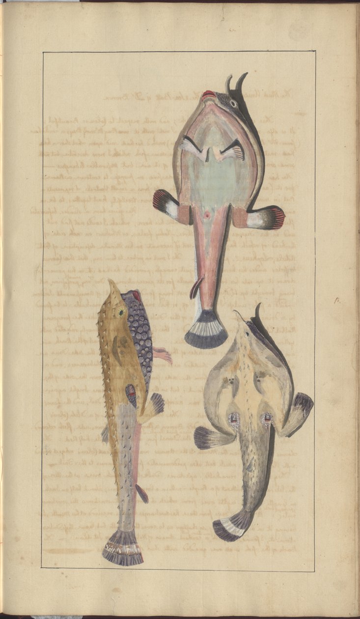 Disegni di Lindsay Vol. VII, 27 da John Lindsay