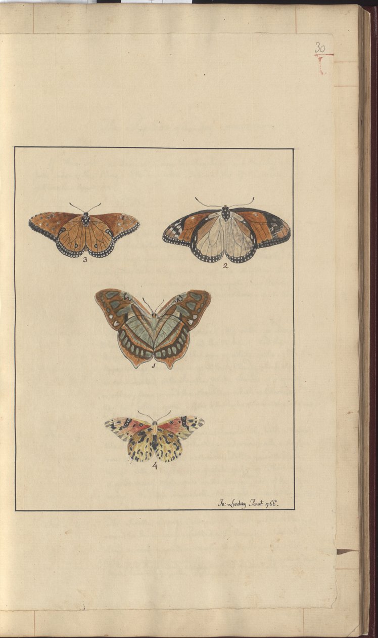 Disegni di Lindsay Vol. VI, 30 da John Lindsay